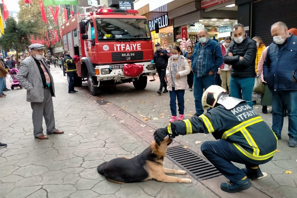 Merak konusu olan sokak köpeği itfaiye ekiplerini de harekete geçirdi