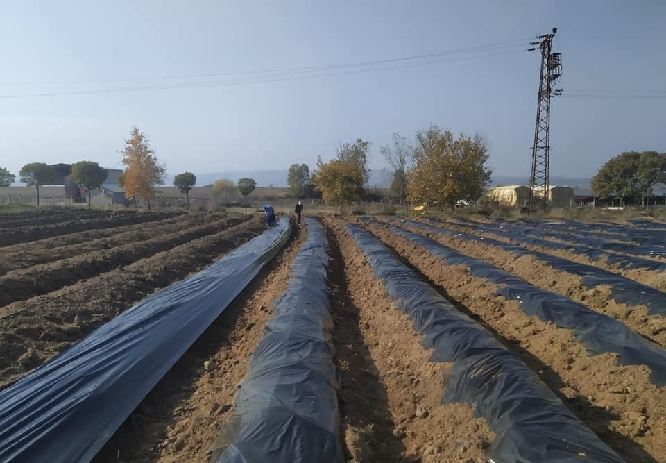 3 dekarla başlandı, talepleri yetiştirememesi öngörülüyor