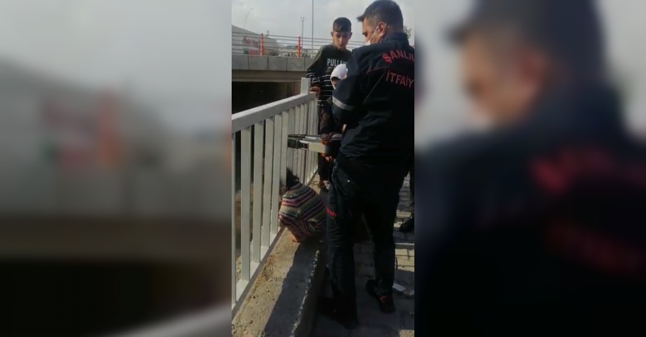 Kafası demir korkuluklara sıkıştı
