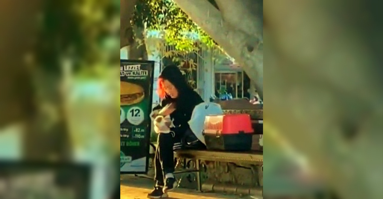 Hamster’e tokat ve ısırık cezasız kalmadı