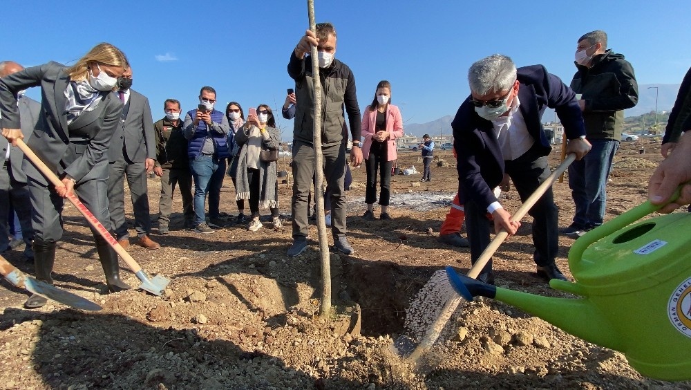 Hatay’a "mabet ormanı" kuruluyor