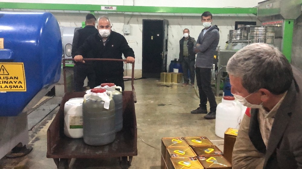 Zeytinin yağ yolculuğu