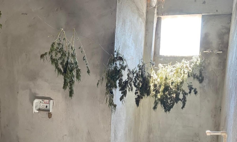 Hatay’da uyuşturucu operasyonu