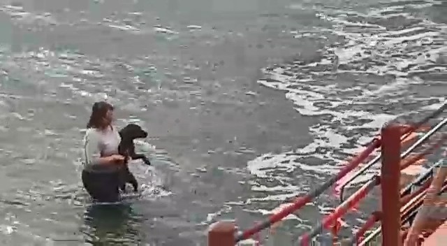 Kıyafetleri ile denize girip köpeği ölmekten kurtardı