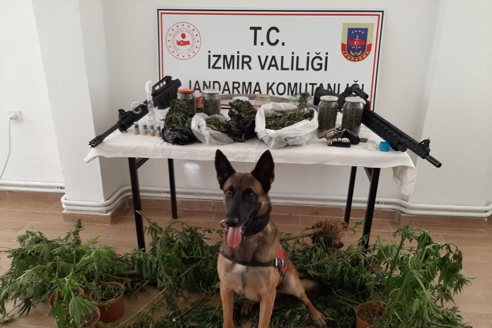 İzmir’de uyuşturucu operasyonu: 21 şüpheli gözaltında