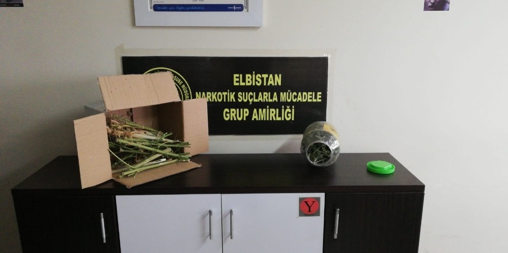 Ekinözü’nde uyuşturucu operasyonu