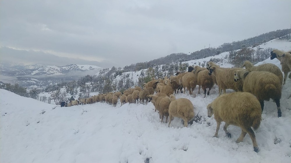Tunceli’de kar yağışı