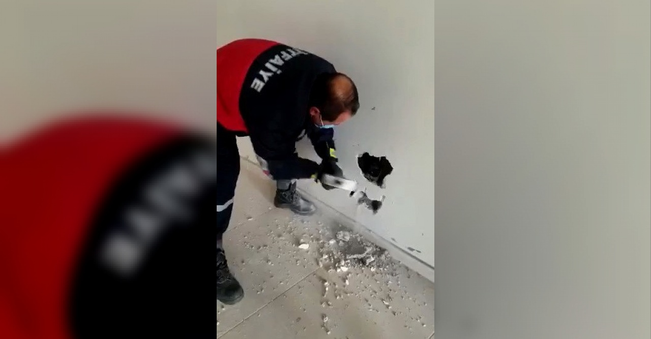 Köpek, duvar kırılarak sıkıştığı yerden çıkartıldı