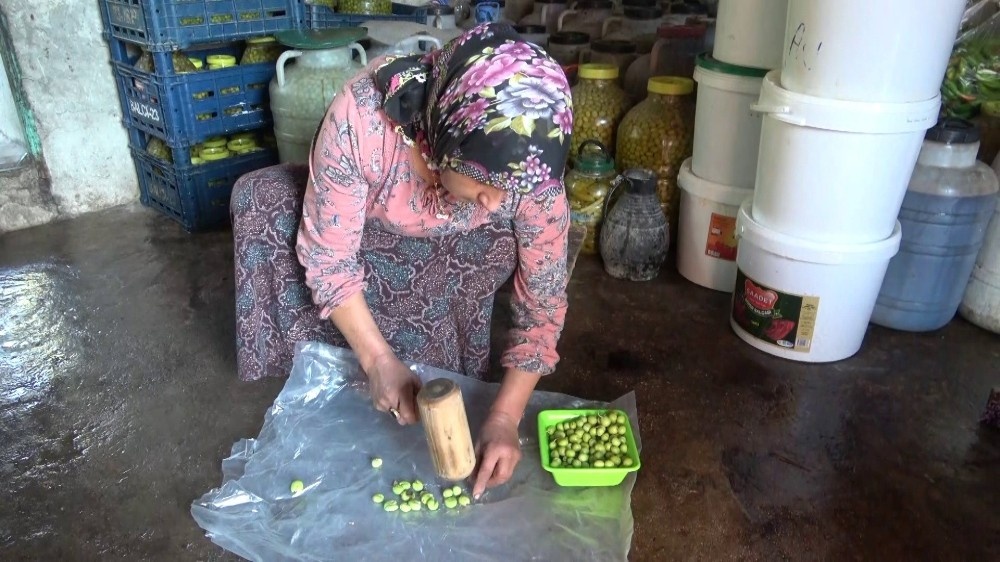 Okuyan çocuğu ve engelli eşi için zeytincilik işine girdi