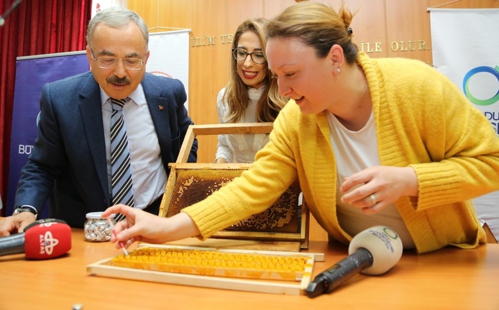 Kadın çiftçilerin arı sütü başarısı