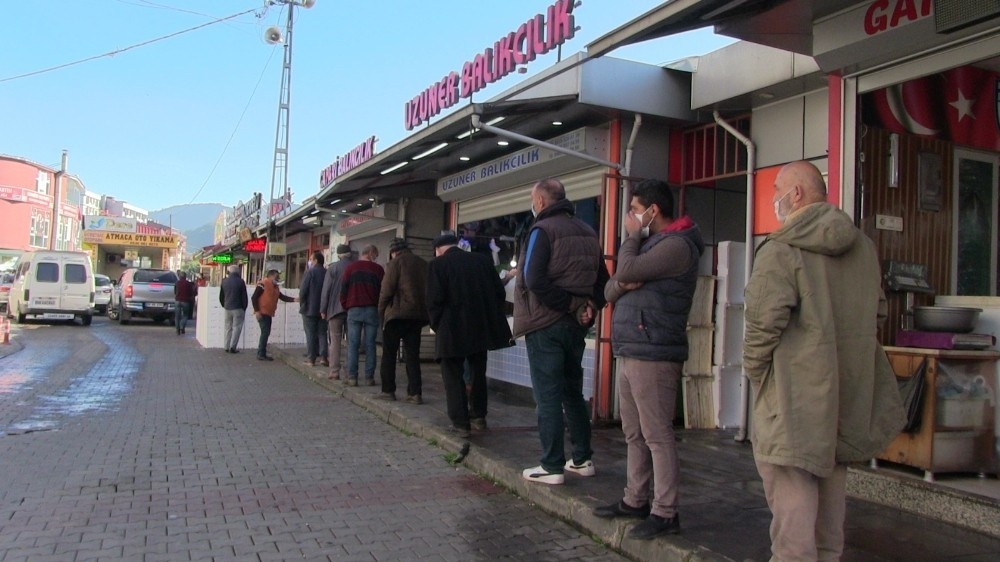 15 liradan satılan hamsinin kilosunun 3 TL’ye düştüğünü duyunca balıkçıya akın ettiler