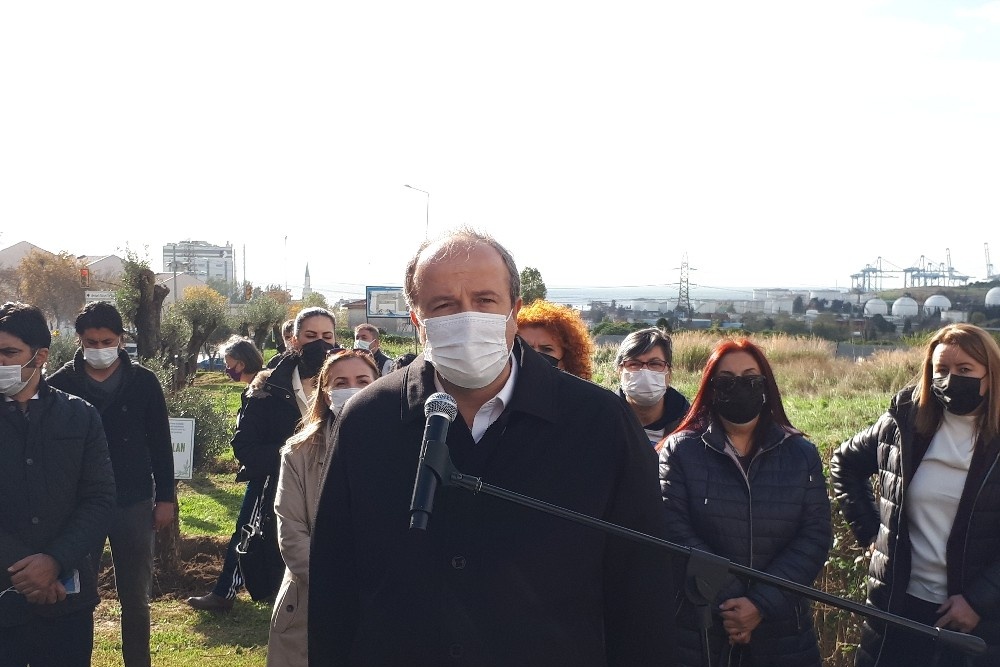 Avcılar’da kadınlar için zeytin ağaçları dikildi