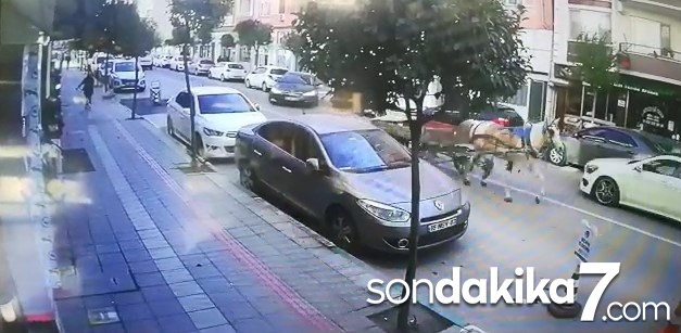 Huysuz at sahibi olmadan 4 nala yollara koyuldu