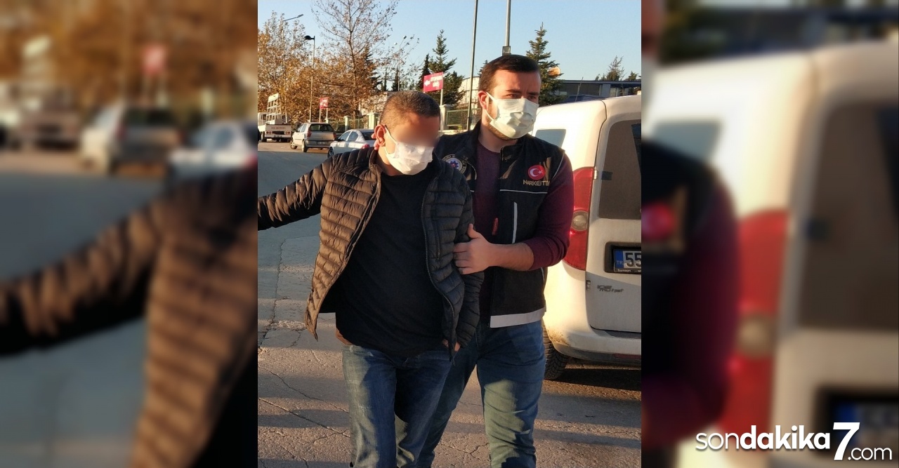 Evinde bonzai ele geçen şahıs tutuklandı