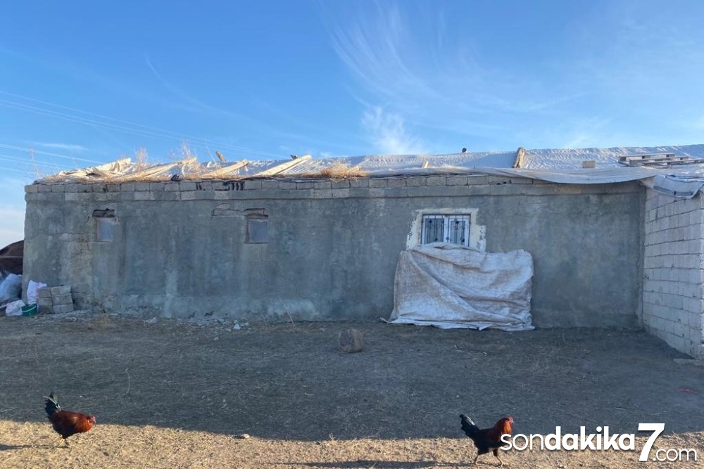 Çobanlık yapan baba, eve dönüştürdüğü ahırda ailesiyle yaşıyor