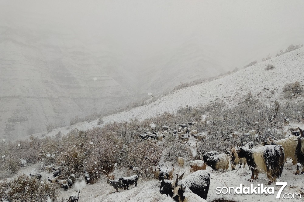 Kar yağdı dağda mahsur kaldılar