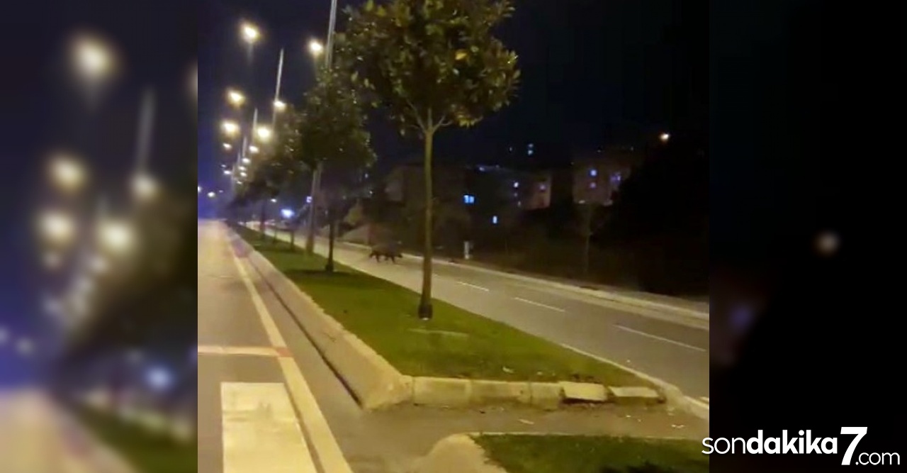 Kısıtlamada insanlar evdeyken sokaklar ona kaldı