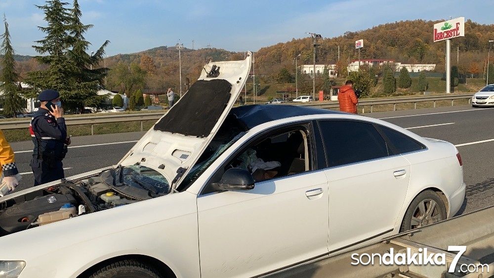 TEM otoyolunda feci kaza 1 ölü, 2 yaralı