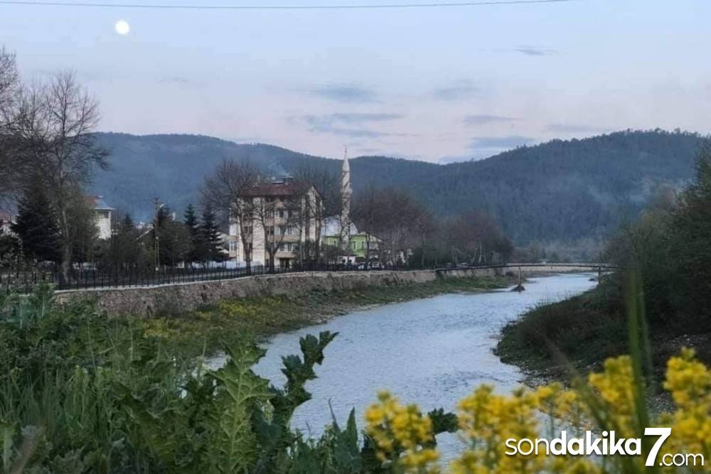 Kastamonu’da çayda üç tane su samuru görüldü