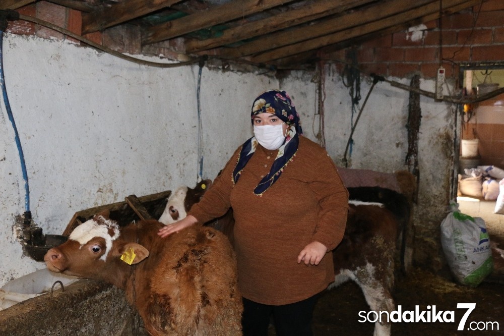 İŞKUR’un engellilere desteğiyle hayvan aldı, şu an çok mutlu