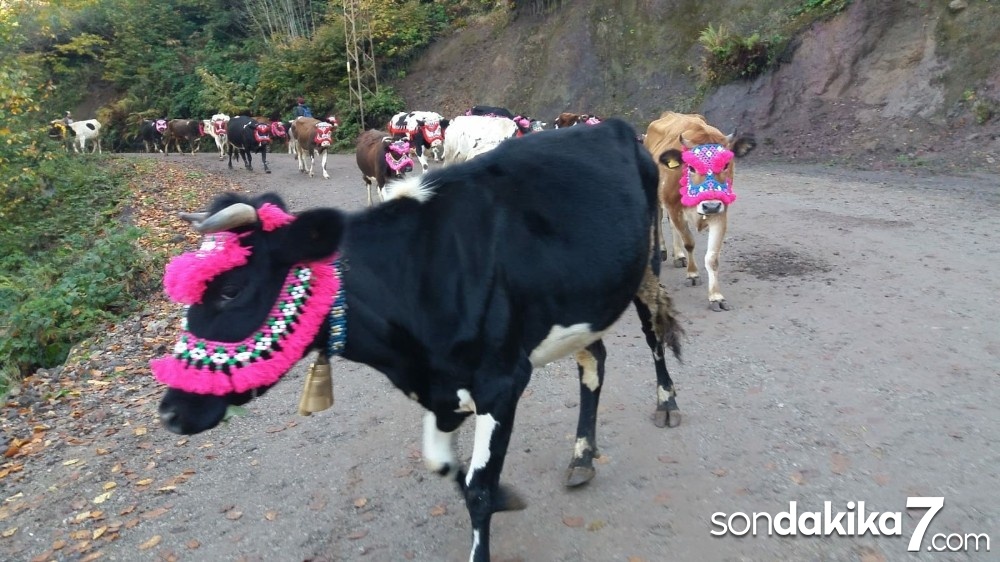 Göç hayatında devam eden 100 yıllık gelenek