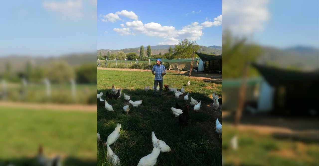 Ömer Dinç, hobi olarak başladığı tavukçuluğu büyüterek çiftlik sahibi oldu