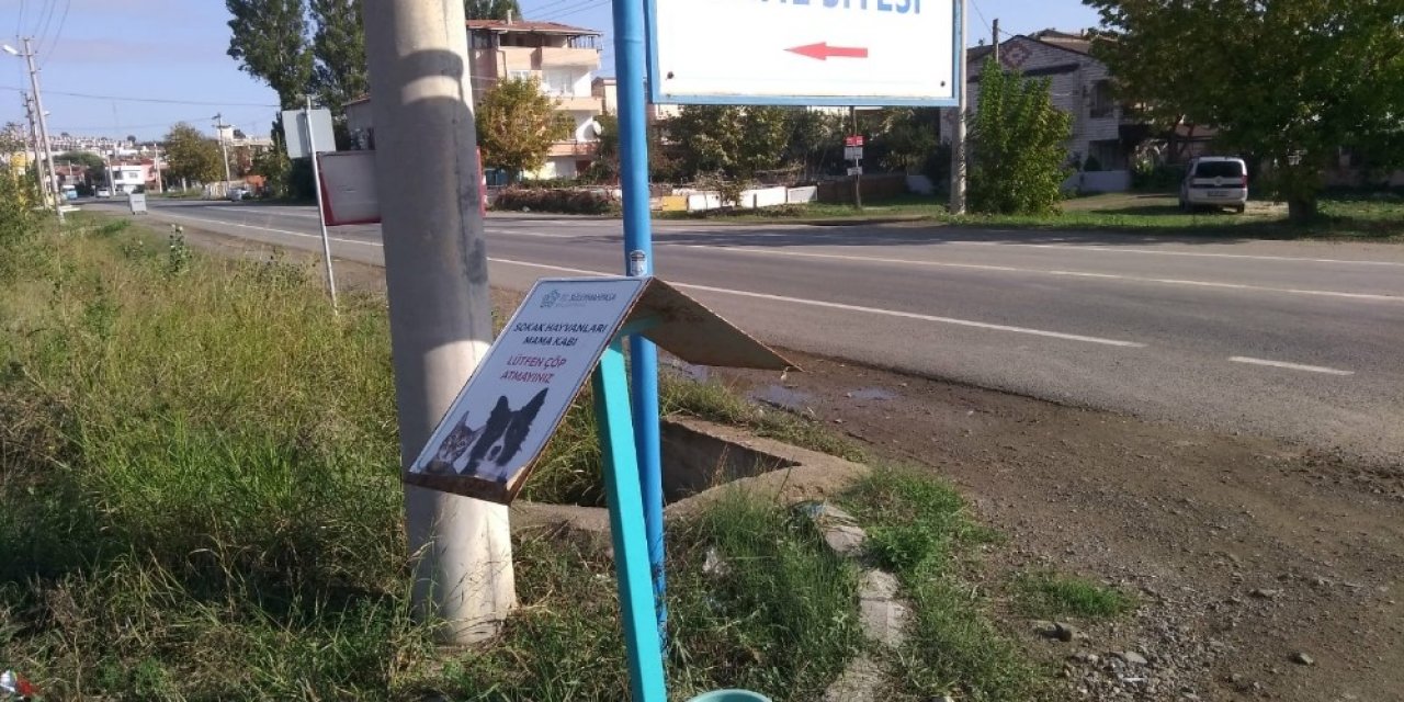 Zor Günlerde Sokak Hayvanları Süleymanpaşa Belediyesine Emanet