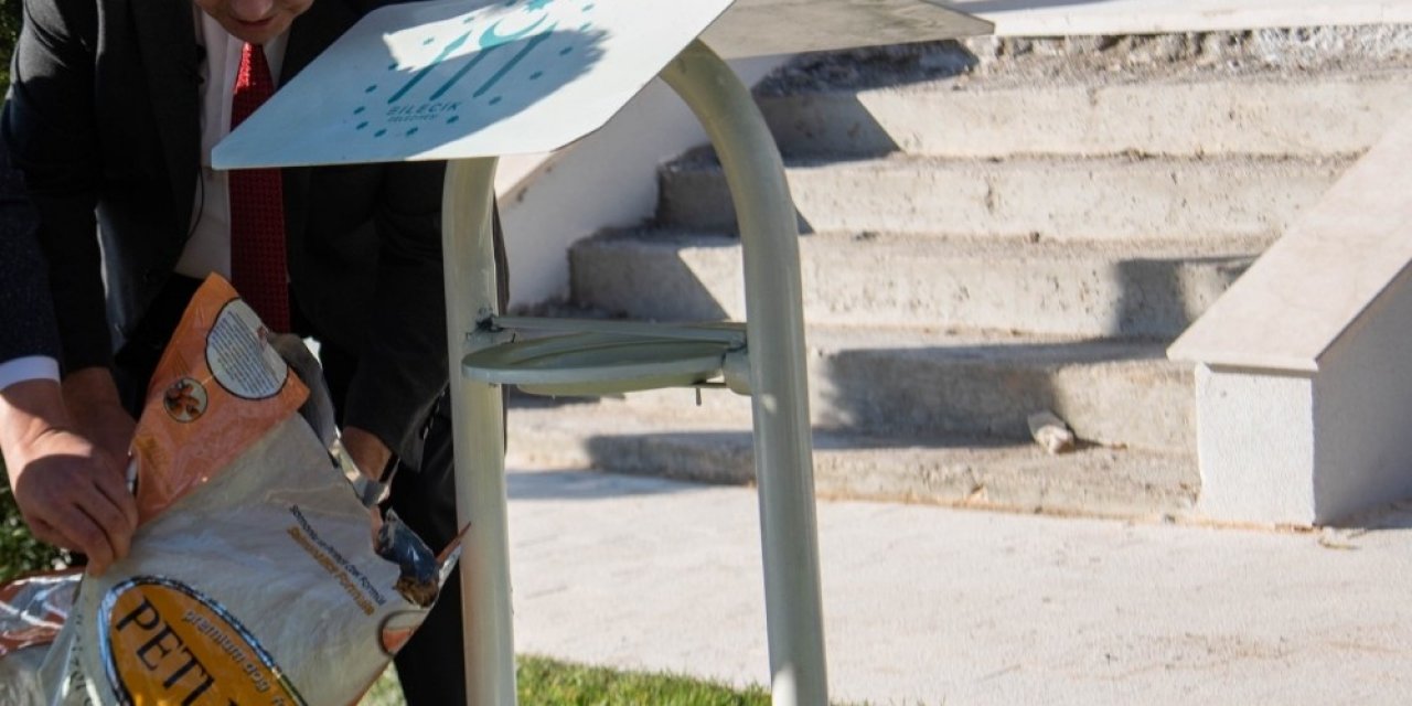 Sokağa Çıkma Kısıtlamasında Sokak Hayvanları Unutulmadı