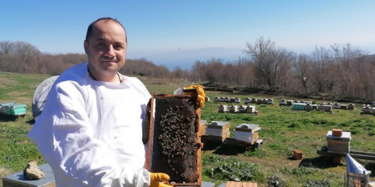 Milli Arı Genleri Dünya Bilim Camiasında Kabul Görecek