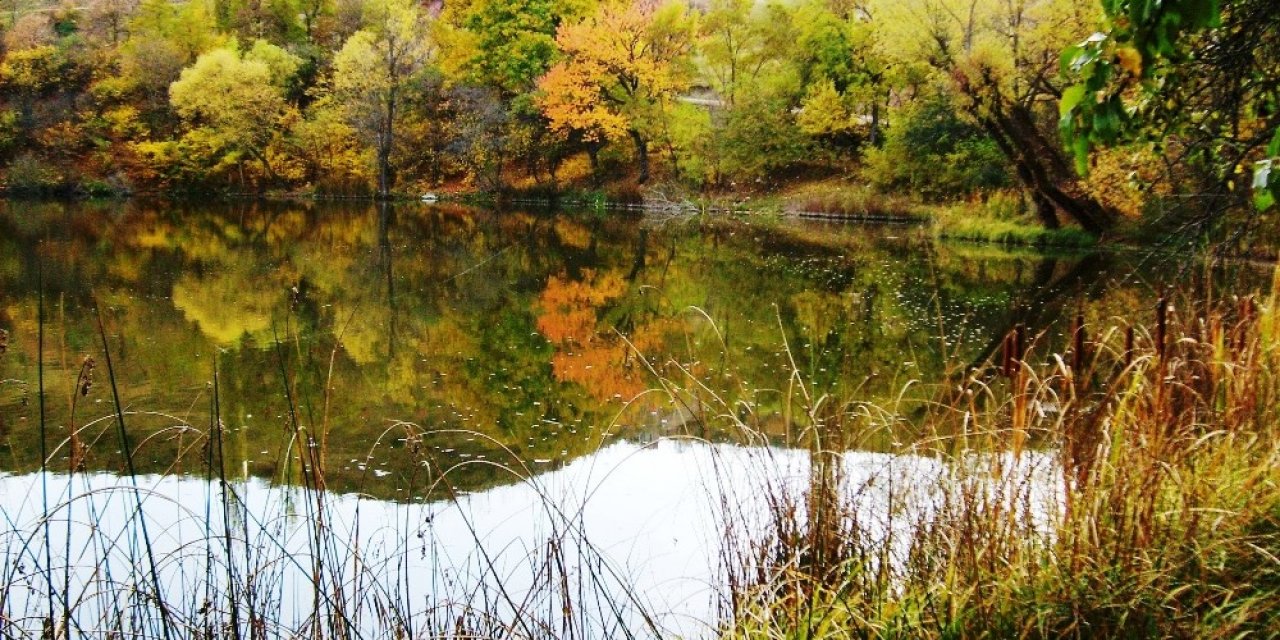 Başarılı Muhtar Köyünde İlkleri Başarıyor