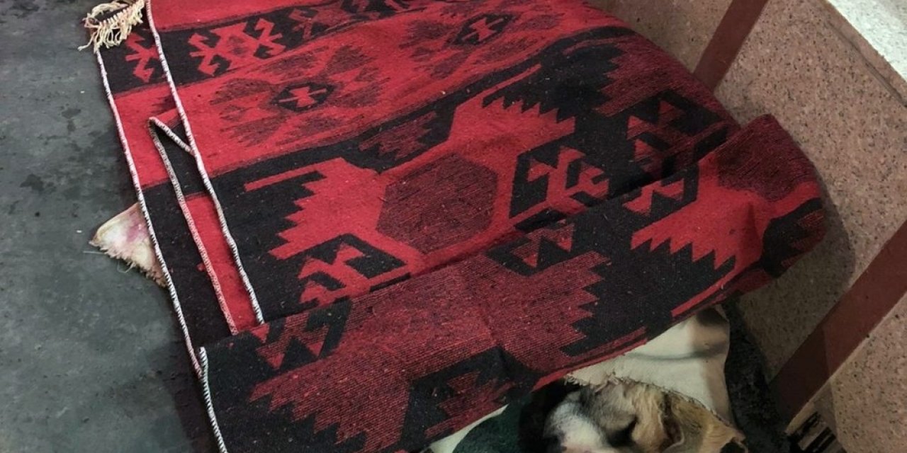 Yüksekova’da Yürekleri Isıtan Görüntü