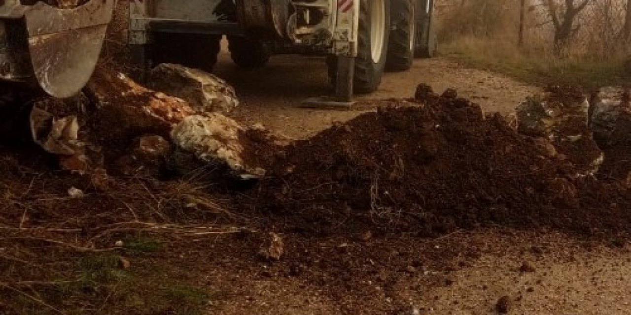Burdur’da Bir Köy Karantinaya Alındı