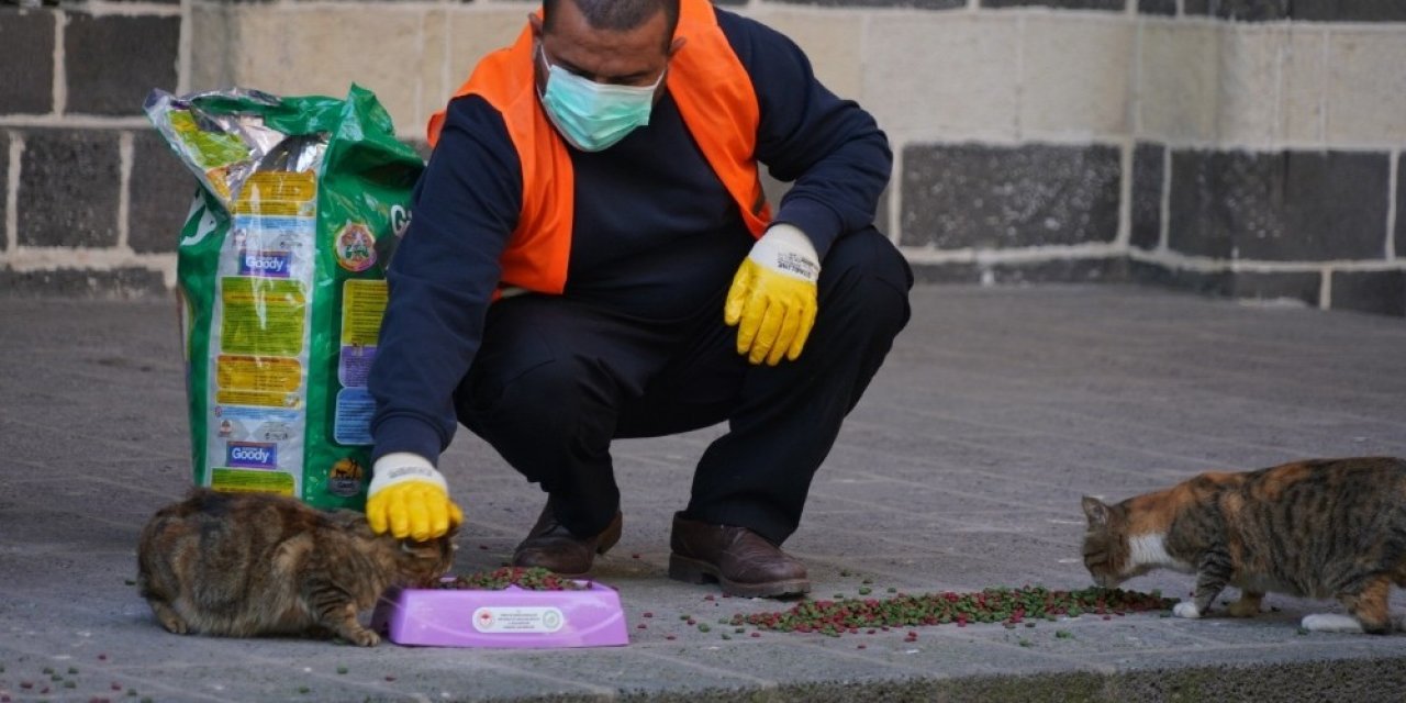 Diyarbakır’da Kısıtlamada Can Dostları Unutulmadı