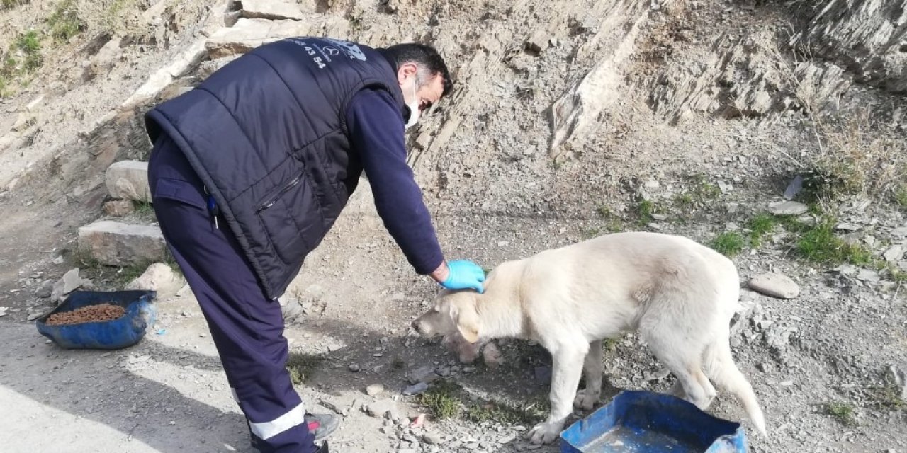 Sokağa Çıkma Yasağında Da Can Dostlar Unutulmadı
