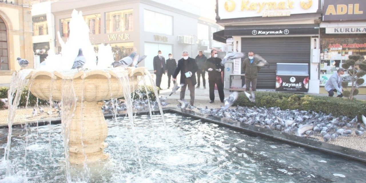 Çorum’da Sokak Hayvanları Unutulmadı