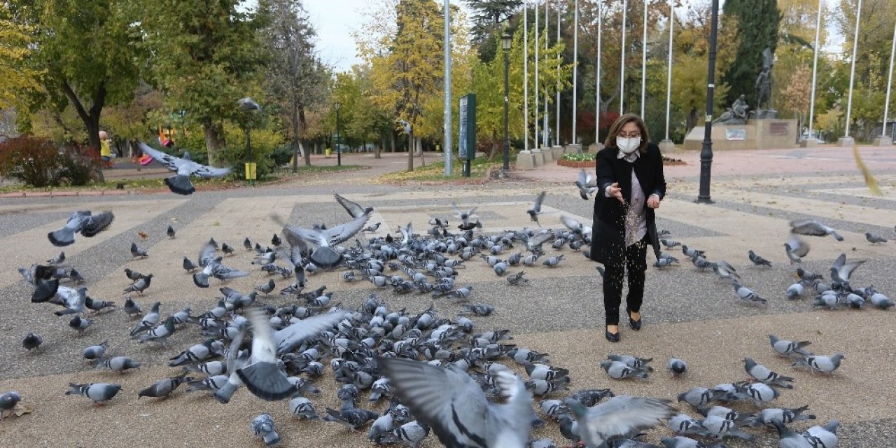 Fatma Şahin Sokaktaki Hayvanları Besledi
