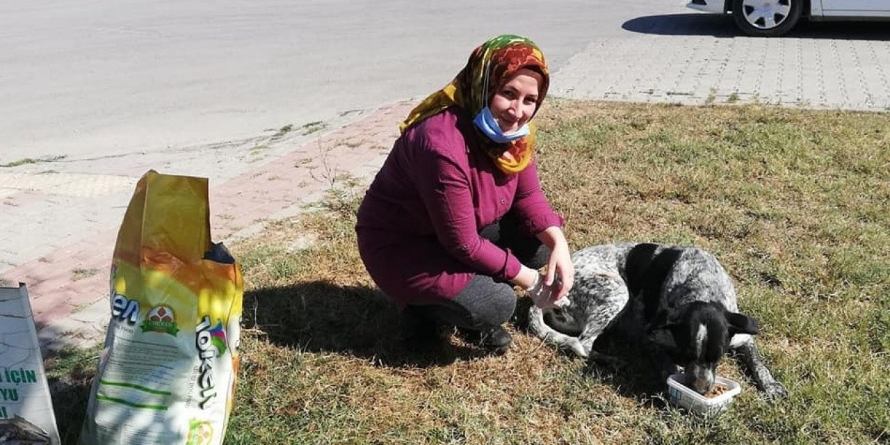 Yenişehirliler Köpeklerin Canlı Canlı Ölüme Terk Edilmesine İsyan Etti