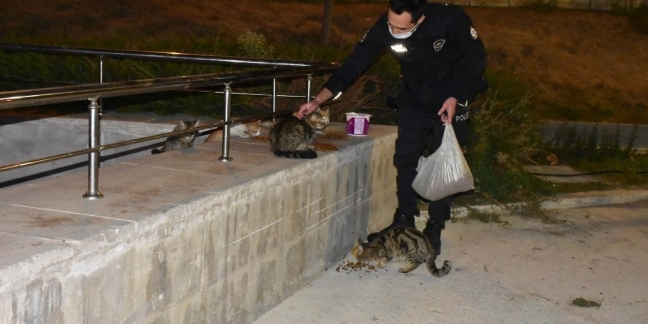 İzmir Polisinden Örnek Davranış: Aç Kalan Hayvanları Elleriyle Besledi