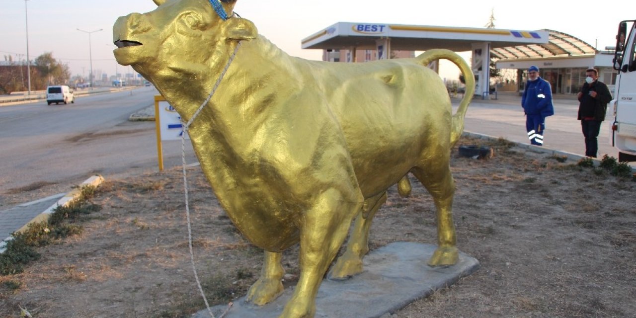 ‘charging Bull’a Amasya’dan Yeni Rakip