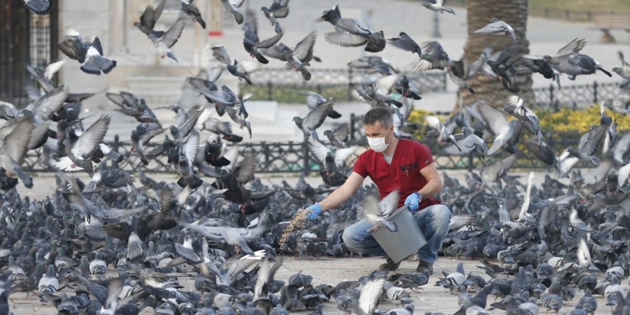 Konak Evde, Belediye Görevde