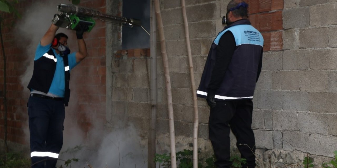 Kocaeli’de Sivrisineklerle Kışlık Mücadele Başladı