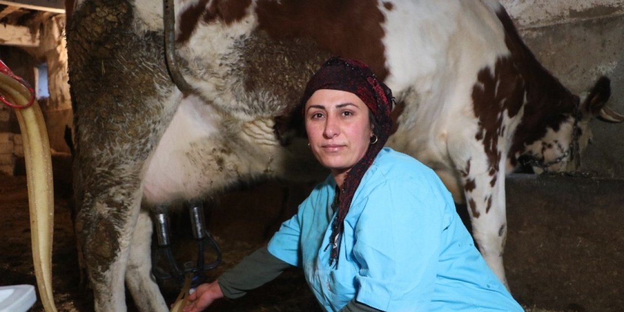 Asgari Ücretle Çalışmak Yerine Kendi İşinin Patronu Oldu