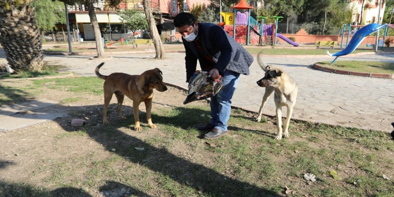 Yüreğir’de Sokak Hayvanları Unutulmadı