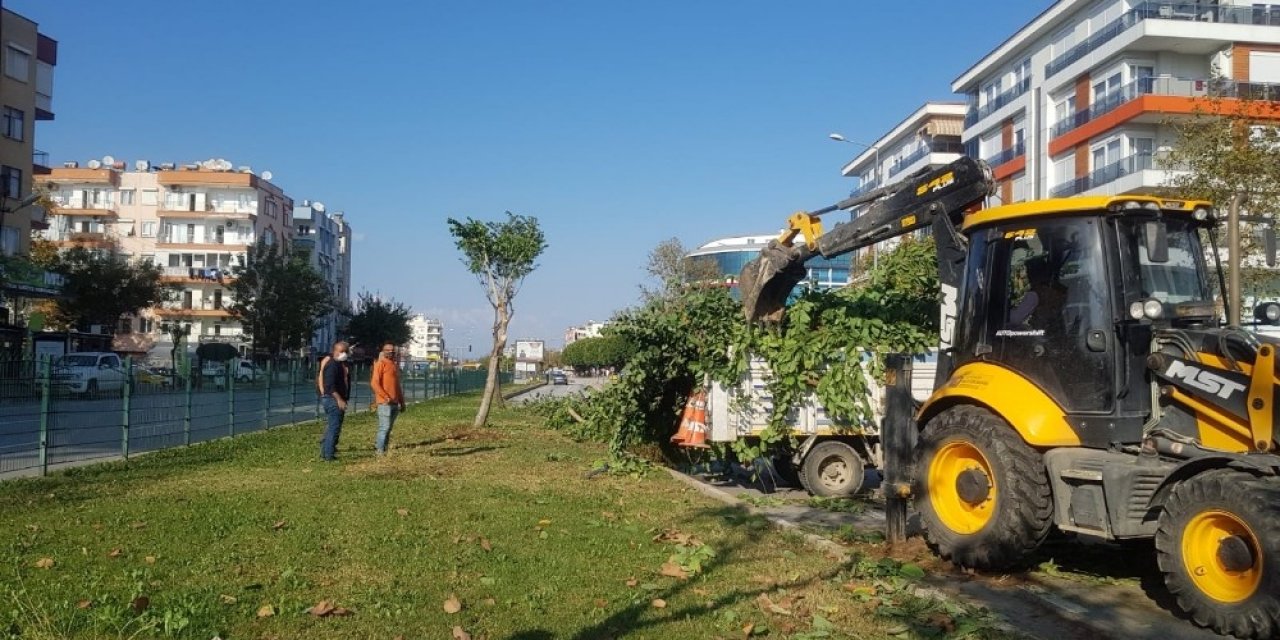 Kent Merkezinde Kapsamlı Bakım-onarım