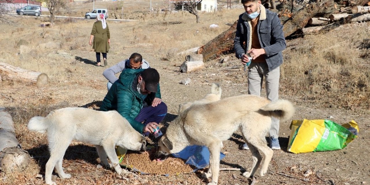 Kısıtlamada Sokak Hayvanlarını Unutmadılar
