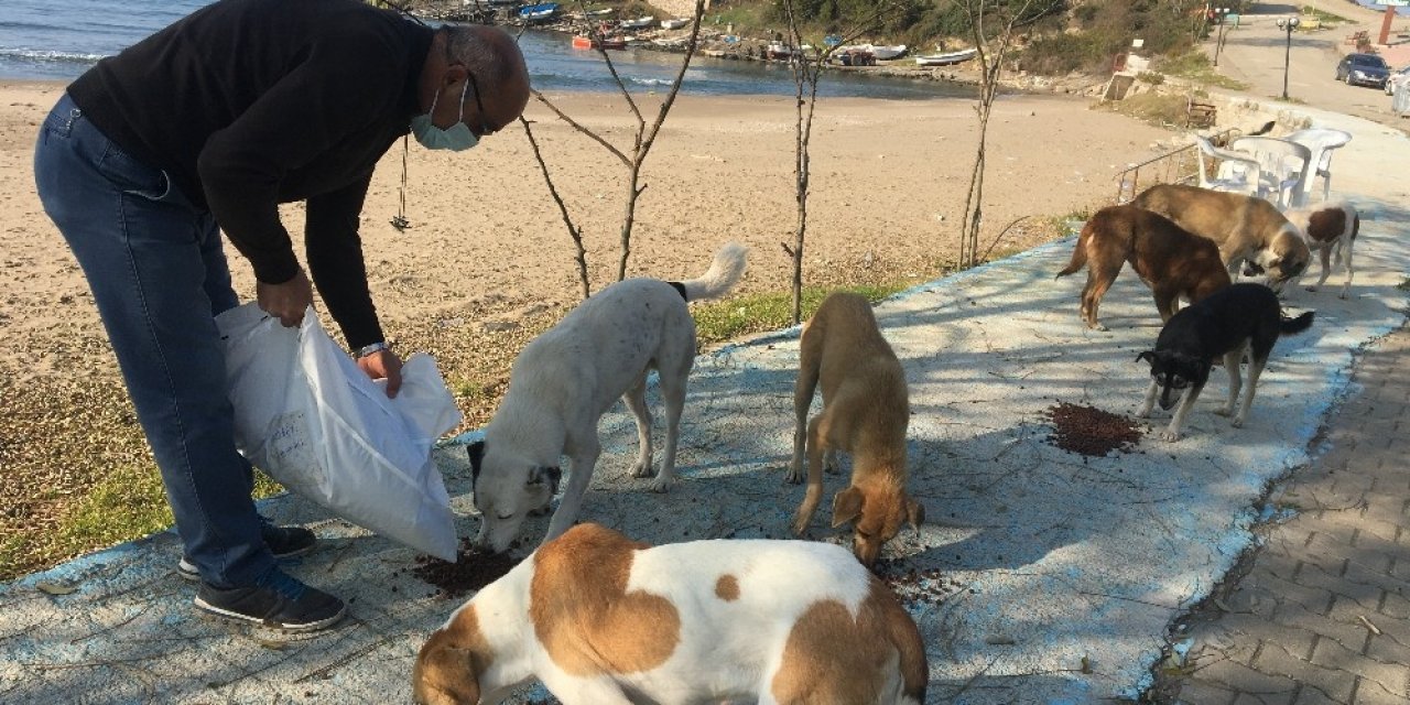 Kısıtlamada Yiyecek Bulamayan Hayvanlar İçin Seferber Olundu