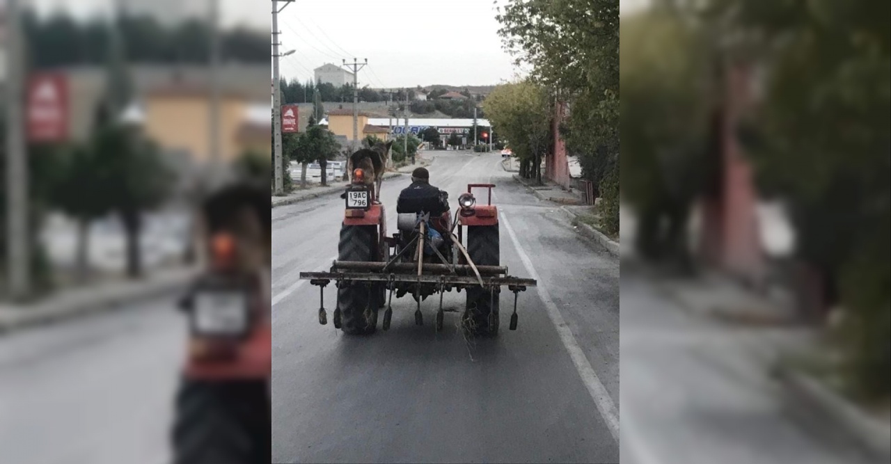 Köpeğin Traktörde Gezmesi Görülmeye Değerdi