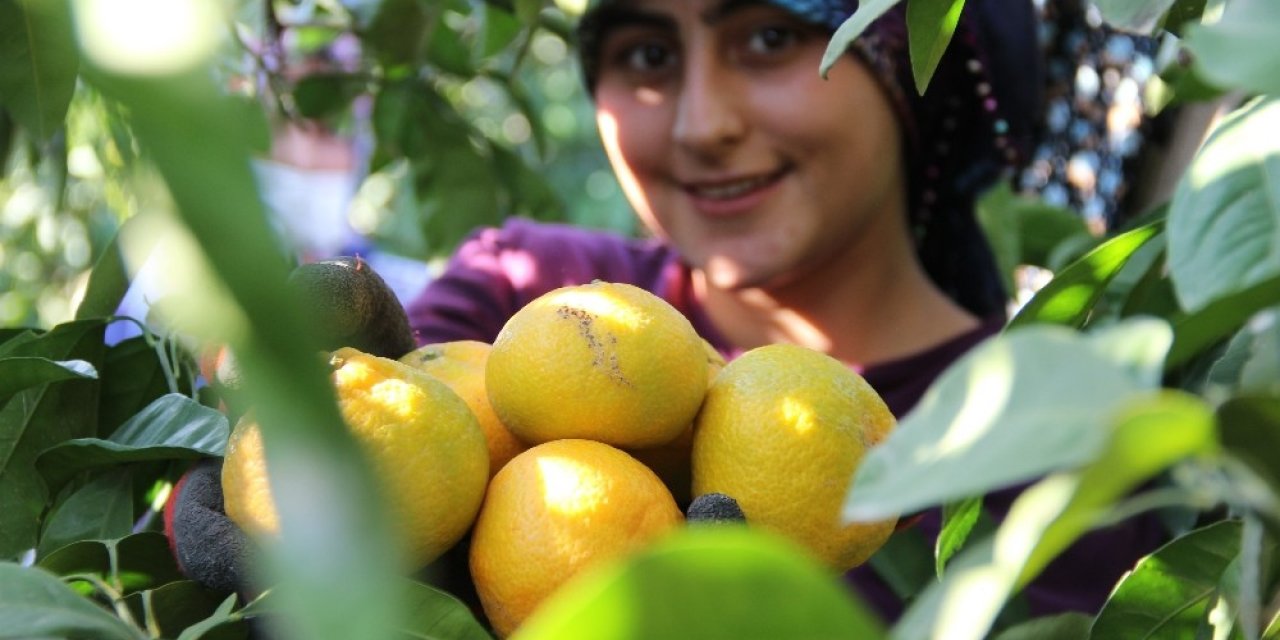 Dalında 1,5 Markette 8 Lira
