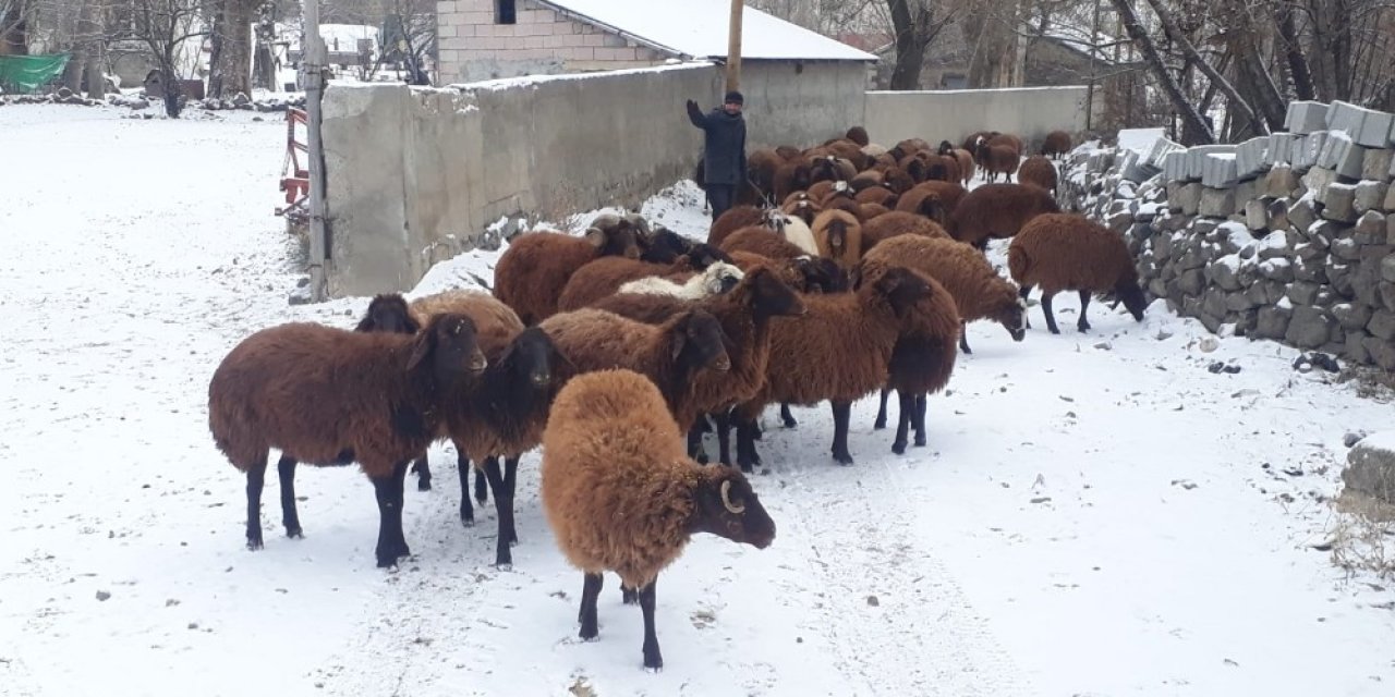 Ağrılılar Güne Karla Uyandı