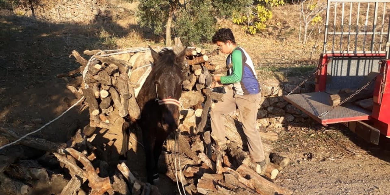 Aydın’da Soğuklar Başladı Vatandaş Yakacak Derdine Düştü